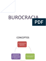 BUROCRACIA VERDADERA