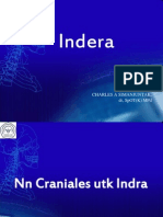 06 Indera