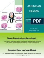 Presentasi Jaringan Hewan