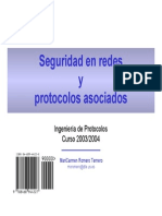 Tema Seguridad IP