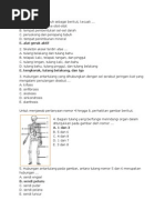 Download 50 Soal Sistem Gerak Manusia by M Treza Nolandra SN181112056 doc pdf