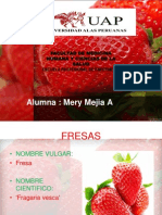 Fresas Expo Medicina