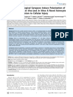 T Cells' Immunological Synapses Induce Polarization of PDF