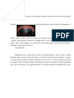 Tuneluri Subterane PDF