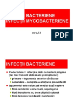 Cursul 3 Bacterii