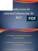 Introducerea În Sistemul Financiar În REI