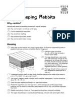 Food - Raising Rabbits PDF