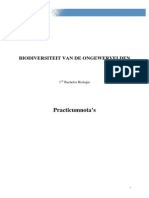 Practicumnota's Ongewervelden PDF