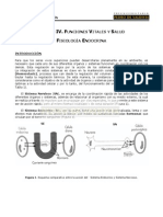 23. Fisiología Endocrina