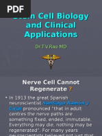 Download Stem Cells and Clinical Applications 2 by doctorrao SN18122709 doc pdf