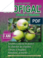 Revista_Hofigal_nr_19.pdf