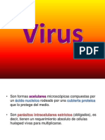 Virus