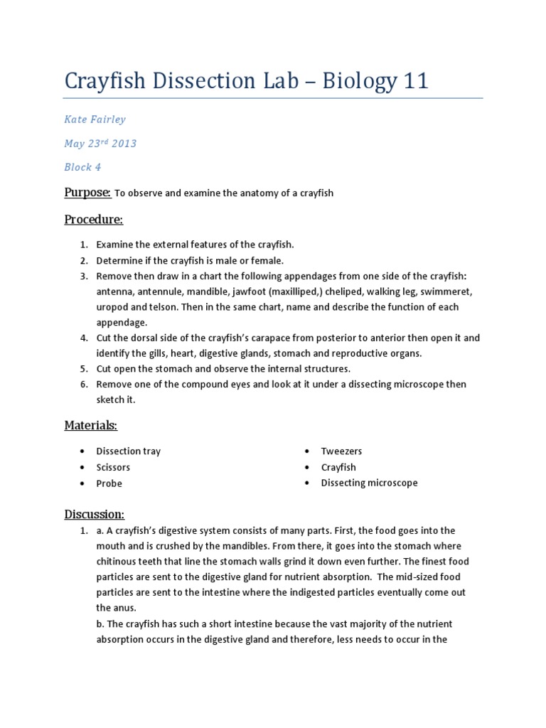 Crayfish dissection lab sheet image