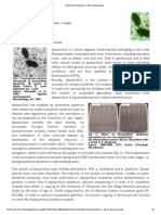 Azospirillum Lipoferum - Site Du Genoscope