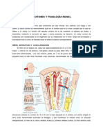 Anatomia y Fisiolog Renal