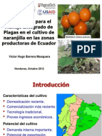 MIP Naranjilla Ecuador