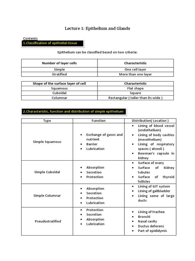 Lecture 1: Epithelium and Glands: 1.classification of Epithelial Tissue ...