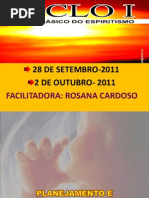2011 09 28 CICLO I Planejamento e Processamento Reencarnatorio RosanaC