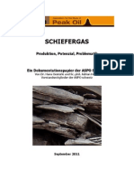 schiefergas-produktion-potenzial-problematik.pdf