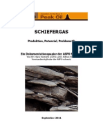 Schiefergas Produktion Potenzial Problematik PDF