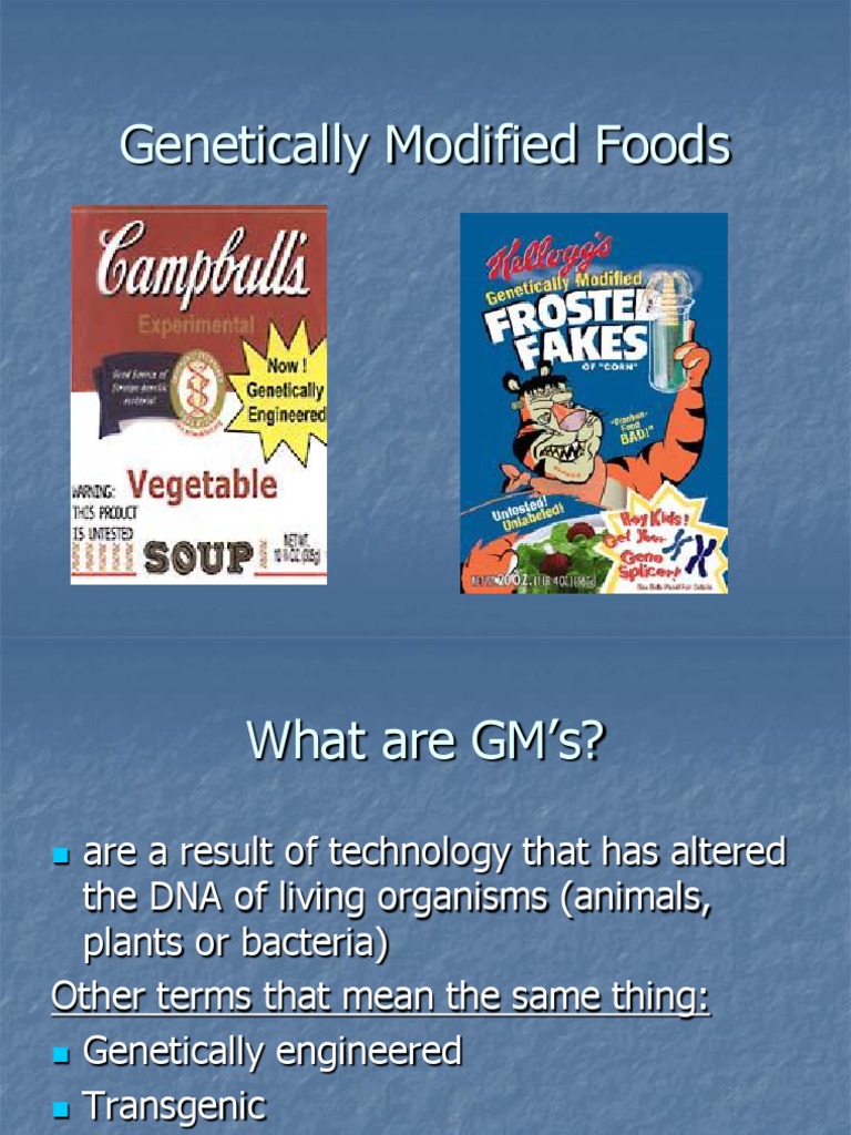 Genetically Modified Organisms | PDF | Genetic Engineering ...