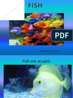 Fishs