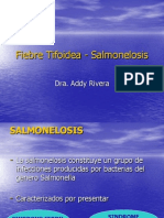 Fiebre Tifoidea - Salmonelosis