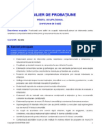 consilier_probatiune.pdf