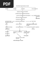 pathway sepsis.docx