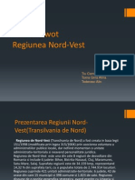 Analiza Swot a Regiunii de Nord-Vest