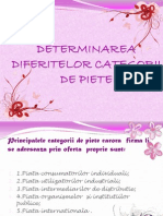 DETERMINAREA DIFERITELOR CATEGORII DE PIETE.pptx