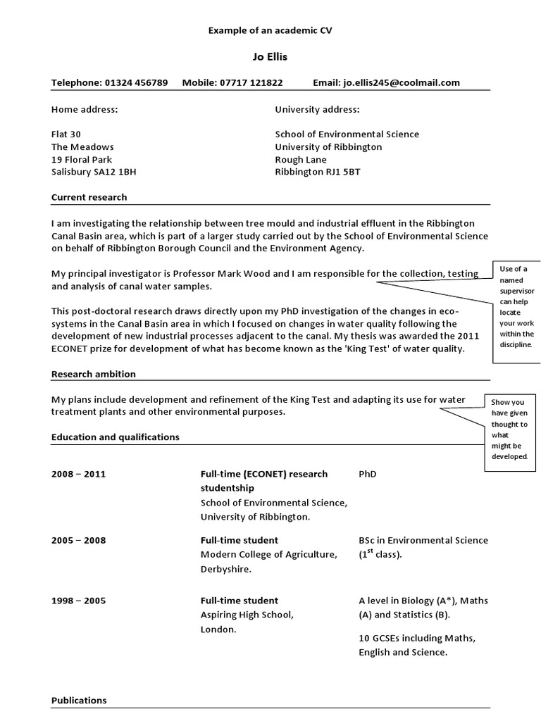Academic CV Example | PDF