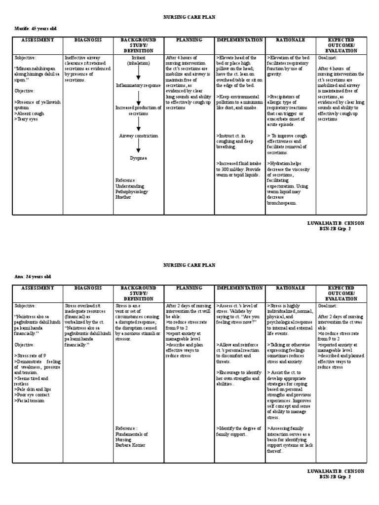 Community Health Nursing Care Plans | PDF | Respiratory Tract | Cough