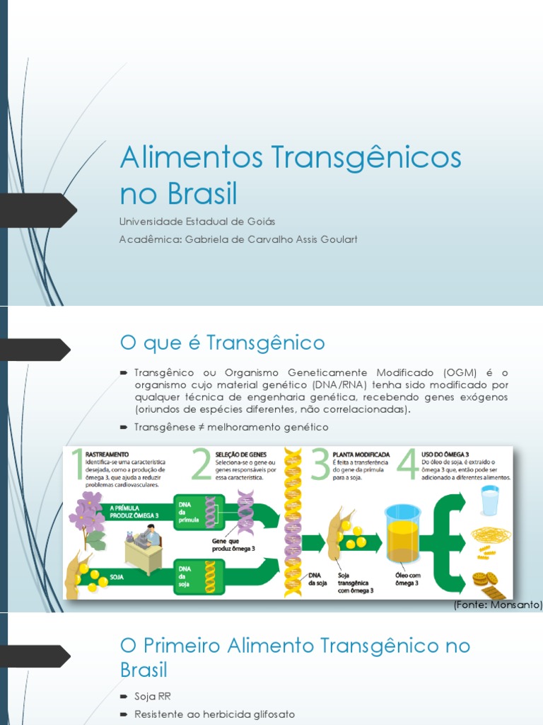 Alimentos Transgênicos no Brasil: Prós e Contras | PDF | Transgênese ...