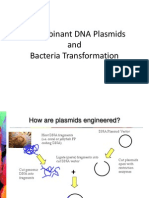 bacteria transformation lab