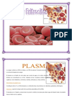 Fisiologia Plasma