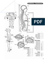 Princeton Review Anatomy Coloring Workbook(1)