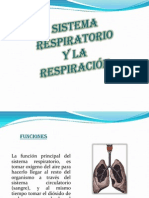 sistemarespiratorio-110926145802-phpapp02