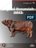 OriginalBraunvieh_2012