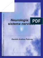 Neurologia Sistema Nervioso Act 7