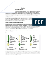 Genetics: Mendel's Law of Independent Assortment