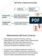 Mecanismo de Tono y Fuerza