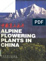 Alpine Flowering Plants in China