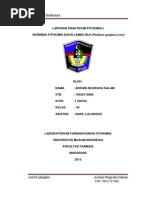 Download Ardani Fito Print by Ardani Nugraha Salam SN181656287 doc pdf