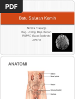 Download Batu Saluran Kemih by Kara Lisrita Soedarmono SN181688196 doc pdf