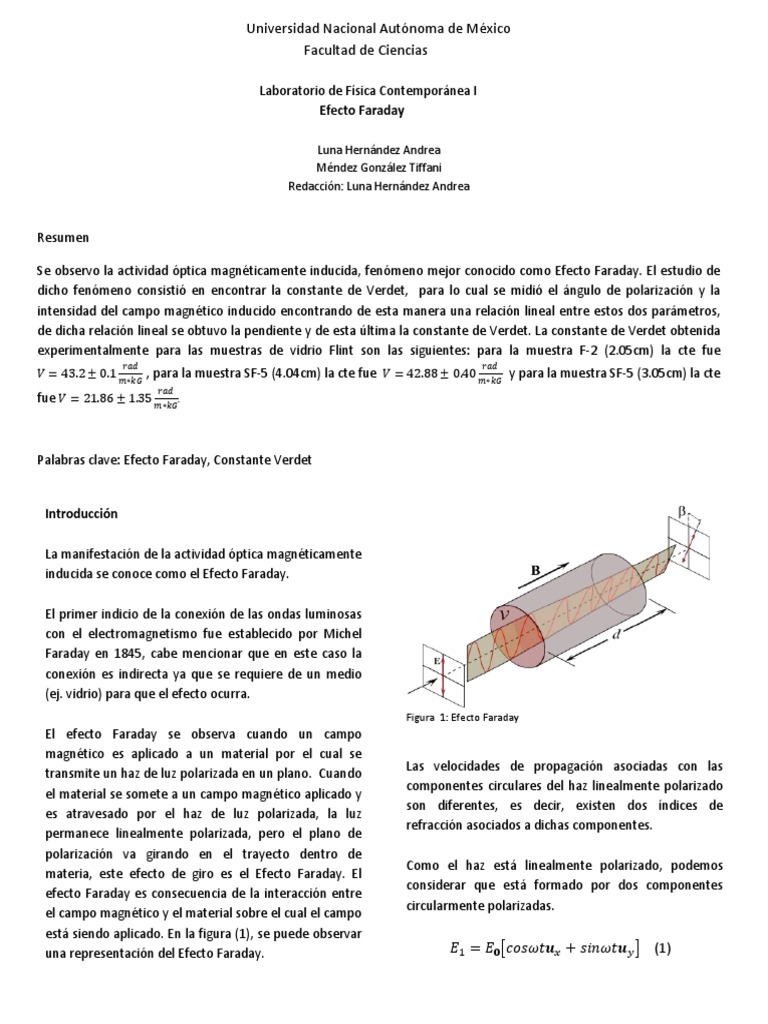 Efecto Faraday | PDF | Polarización (ondas) | Ligero