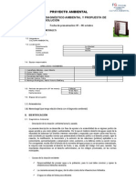 Proyecto Ambiental: Diagnóstico Ambiental Y Propuesta de Solución