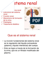 el sistema renal
