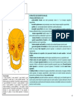 SECTIUNEA 8 NORMELE CRANIENE.pdf