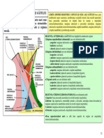 Sectiunea 9 Reg Topografice Gat MM Platysma SCM PDF